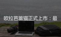 欧拉芭蕾猫正式上市：最大续航500km 售价19.30万元起